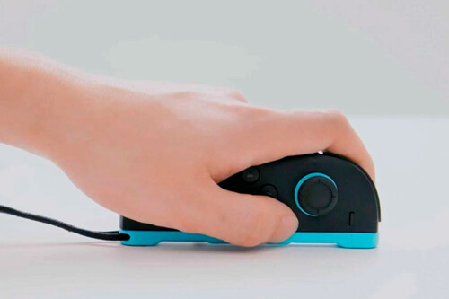 Joy Con
